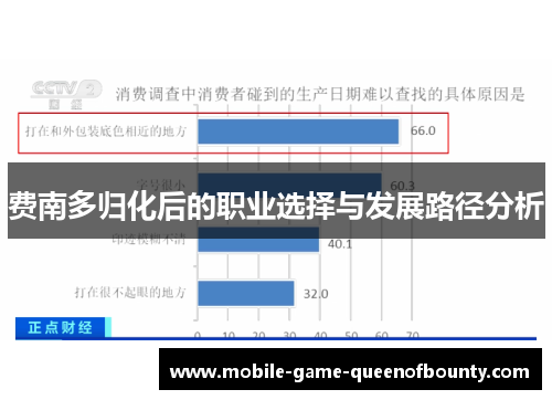 费南多归化后的职业选择与发展路径分析