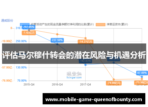 评估马尔穆什转会的潜在风险与机遇分析