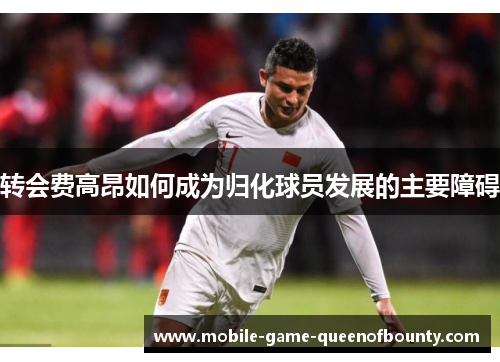 转会费高昂如何成为归化球员发展的主要障碍