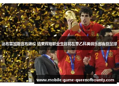 法布雷加斯宣布退役 结束辉煌职业生涯将在意乙科莫俱乐部告别足球
